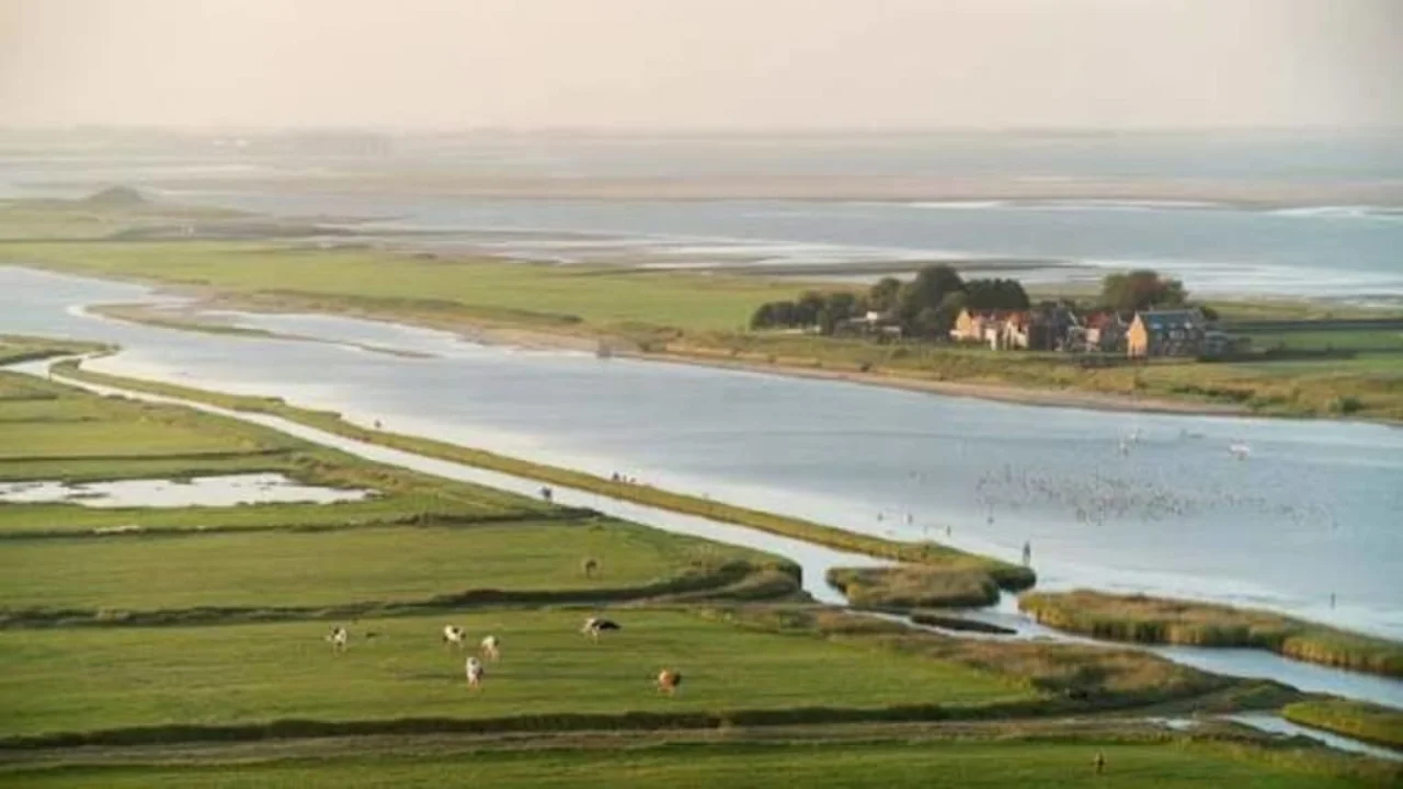 Netherlands land reclamation